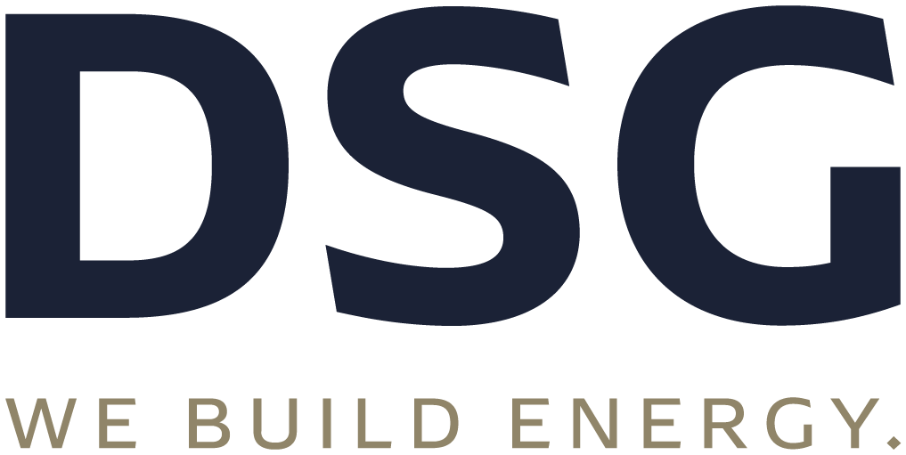 dsg logo cmyk