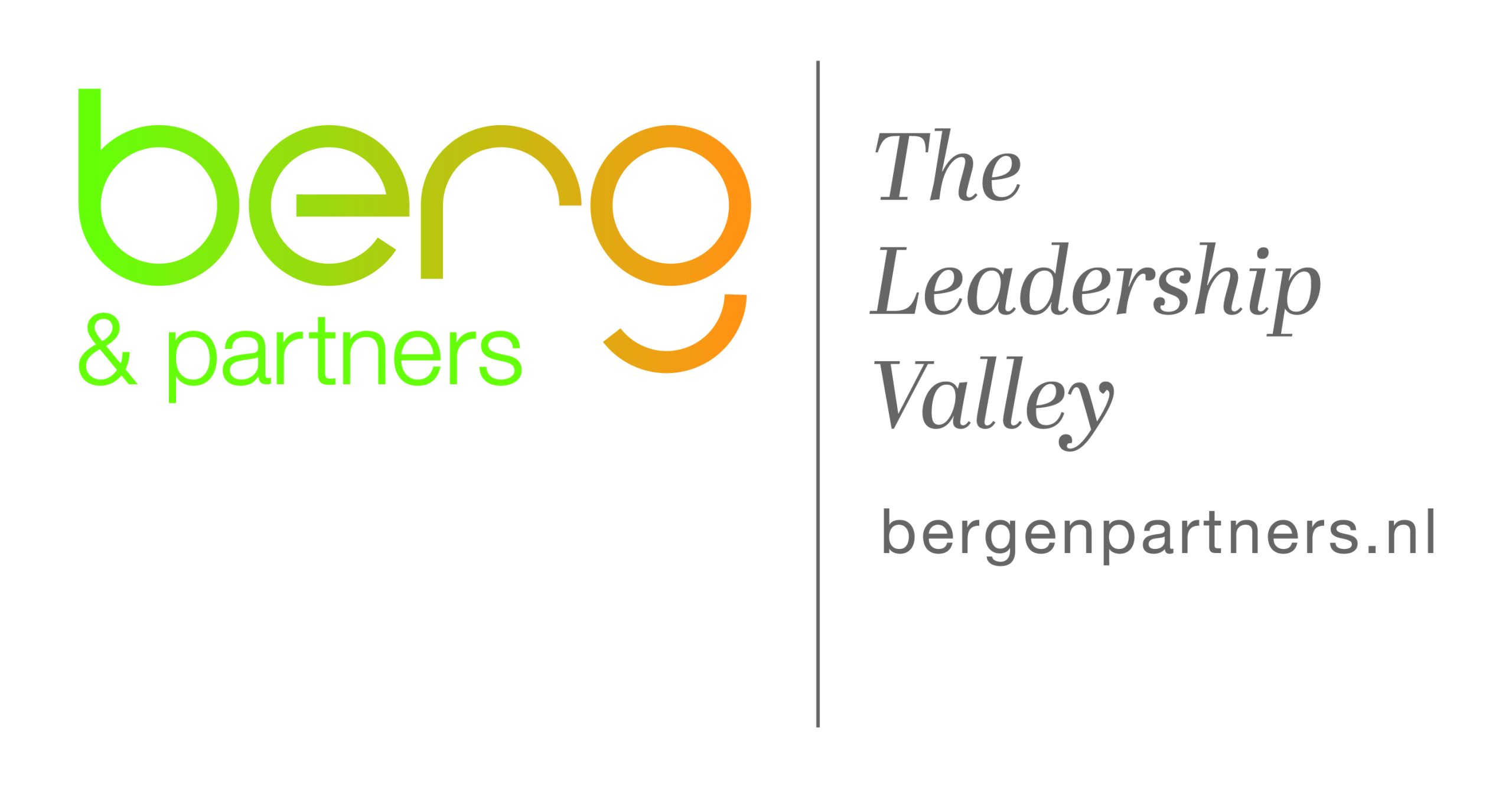 logo berg & partners